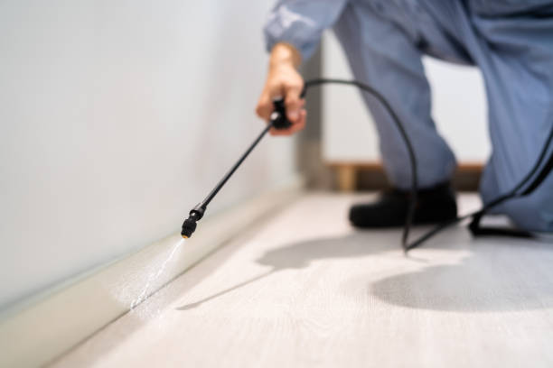 Licensed Pest Control service in Algoma, WI - Show Me Pest Control