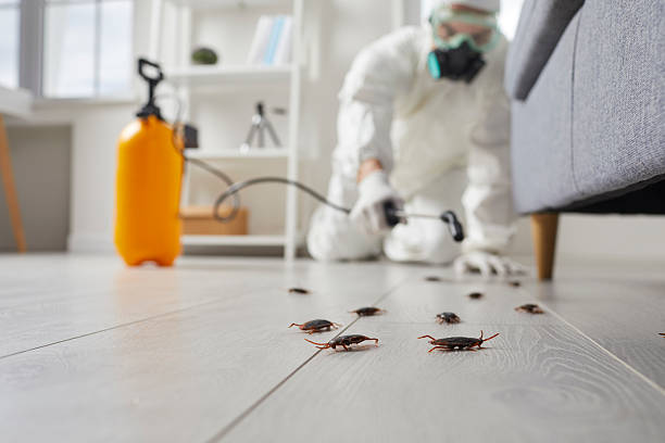 Post-Treatment Bed Bug Interceptor Monitoring in Algoma