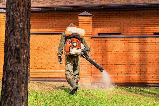 Bed Bug Clearance Verification and Documentation in Algoma